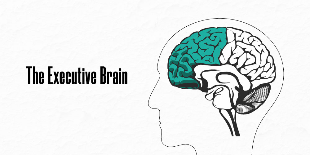 executive brain Executive Brain